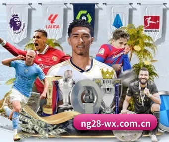 南宫体育 APP - NG28 SPORTS